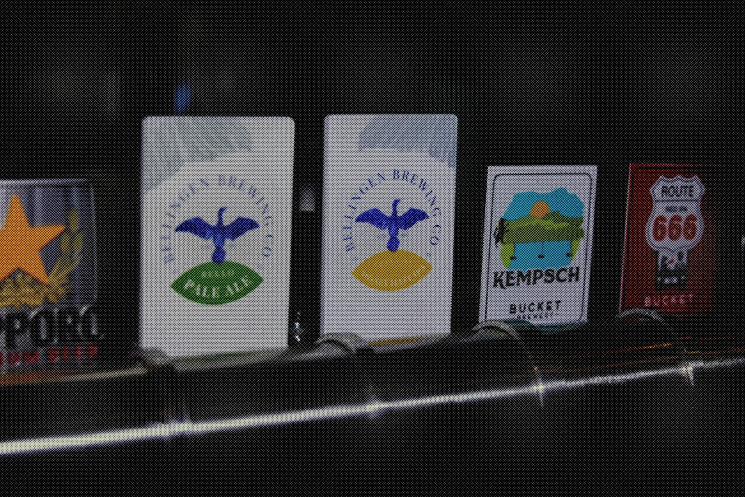 A row of craft beer taps on the stainless rail, from local brewers and beyond.